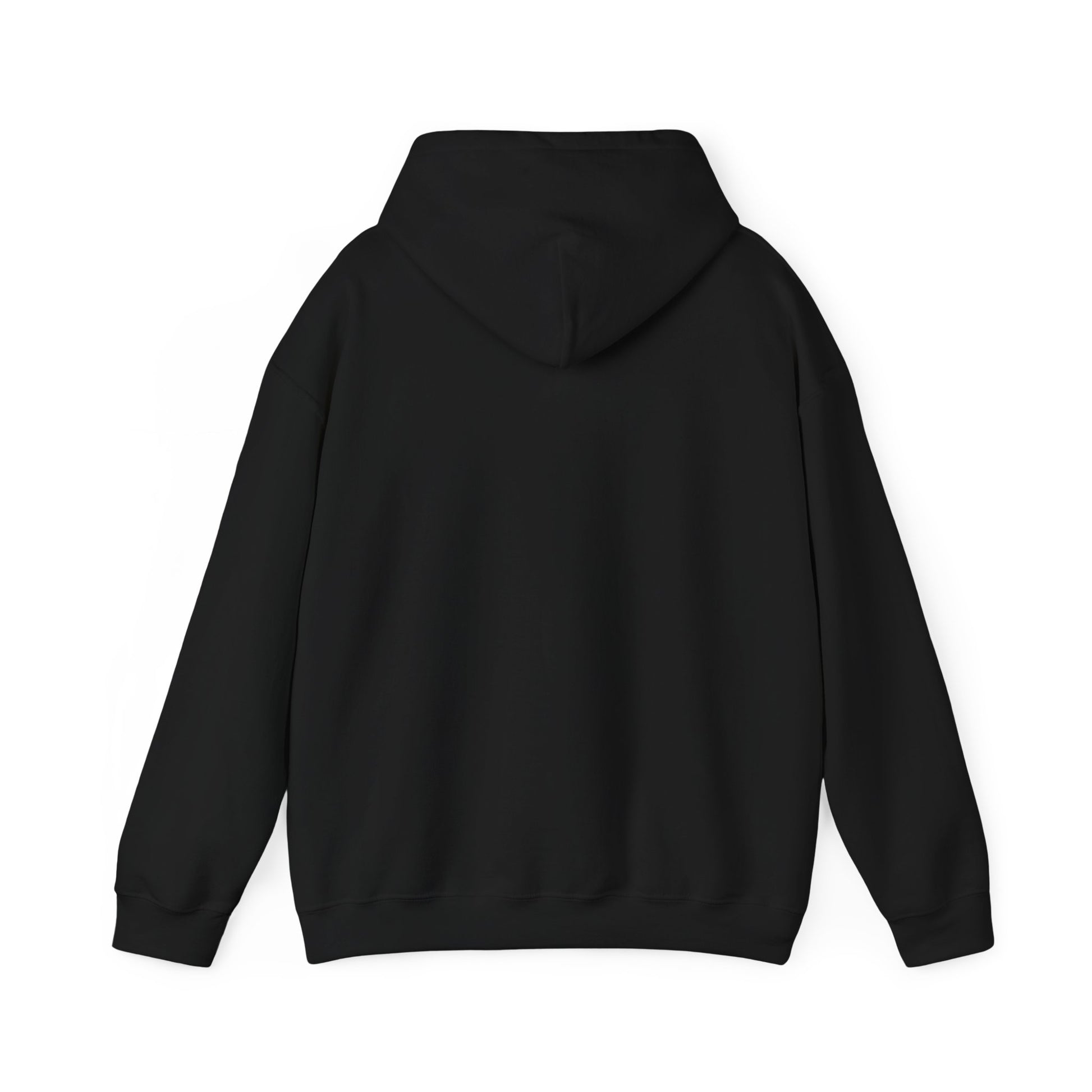 Back view of black hoodie – minimalist with no back design – The Lost Soul Co.