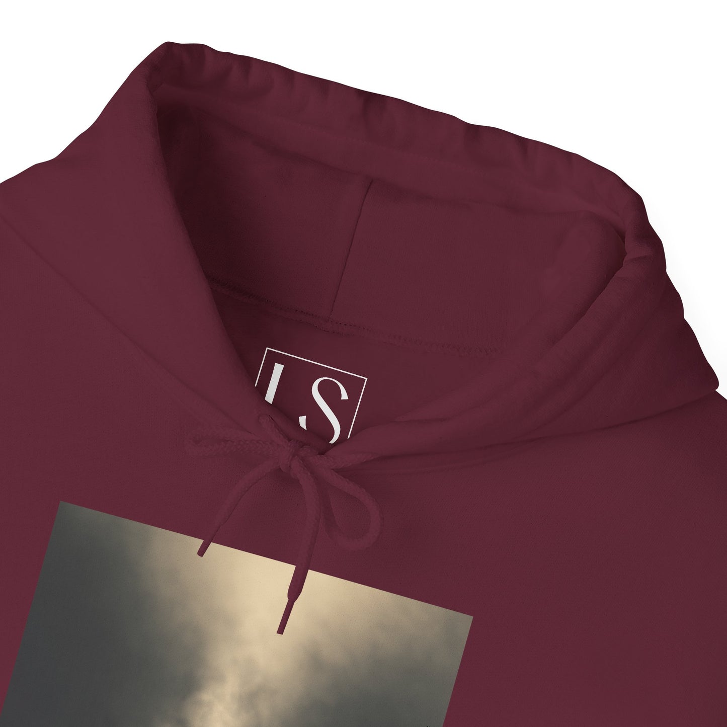 Bear the Light Hoodie