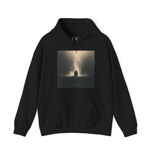 Black hoodie with cinematic bear silhouette walking into golden light – The Lost Soul Co.