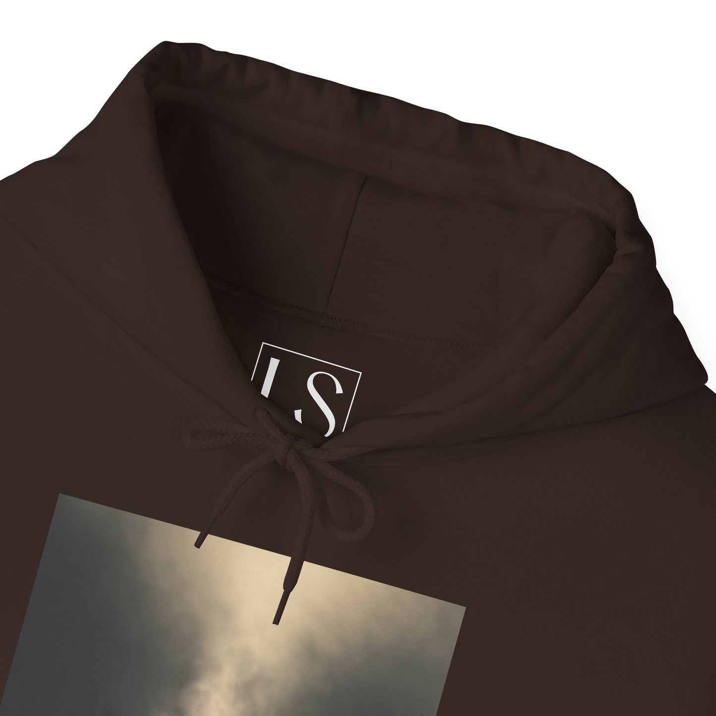 Bear the Light Hoodie