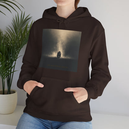 Bear the Light — Unisex Streetwear Hoodie | LS-RH02