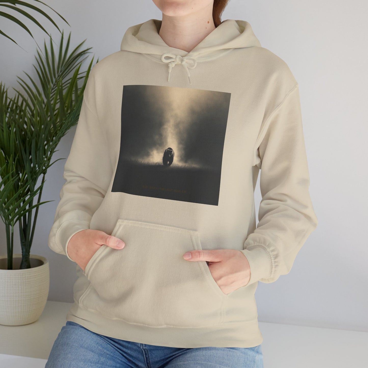 Bear the Light Hoodie