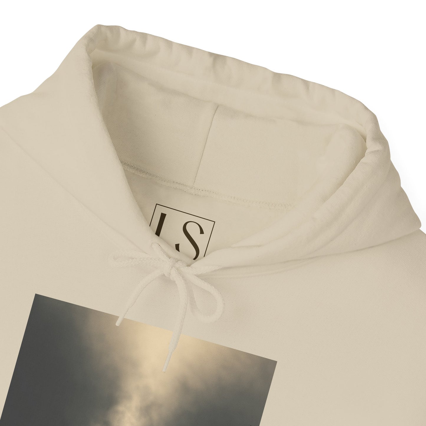 Bear the Light Hoodie