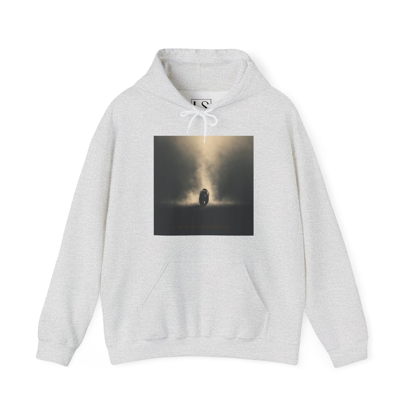 Bear the Light — Unisex Streetwear Hoodie | LS-RH02