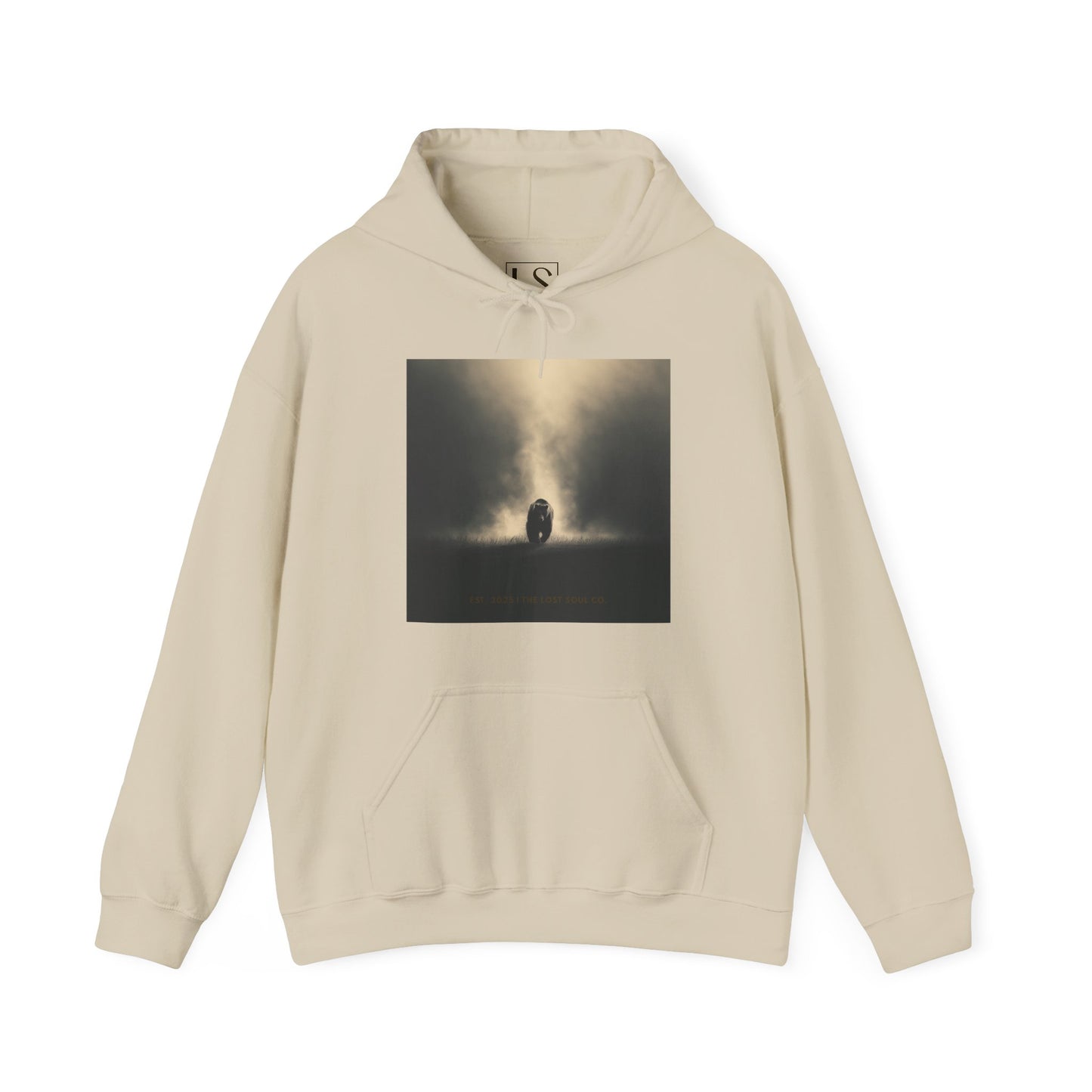 Bear the Light — Unisex Streetwear Hoodie | LS-RH02