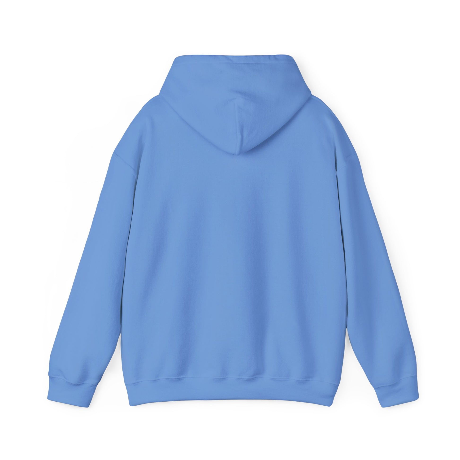 Back view of Carolina Blue streetwear hoodie – minimalist clean back – The Lost Soul Co.