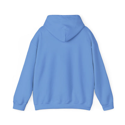 Back view of Carolina Blue streetwear hoodie – minimalist clean back – The Lost Soul Co.